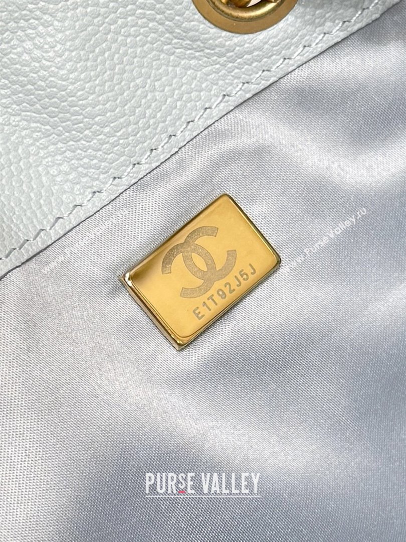 Chanel Haas Grained Calfskin Medium Hobo Bag AS5311 Light Blue 2025 Top Quality (SHUNY-25072914)