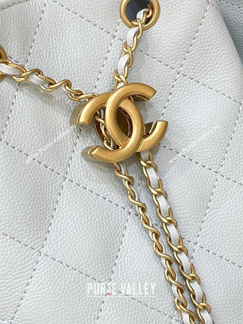 Chanel Haas Grained Calfskin Medium Hobo Bag AS5311 Light Blue 2025 Top Quality (SHUNY-25072914)