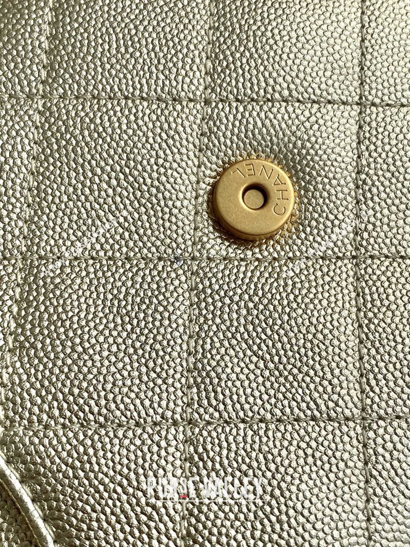 Chanel Grained Calfskin Medium Hobo bag AS5311 Gold 2025 (YEZI-25072920)
