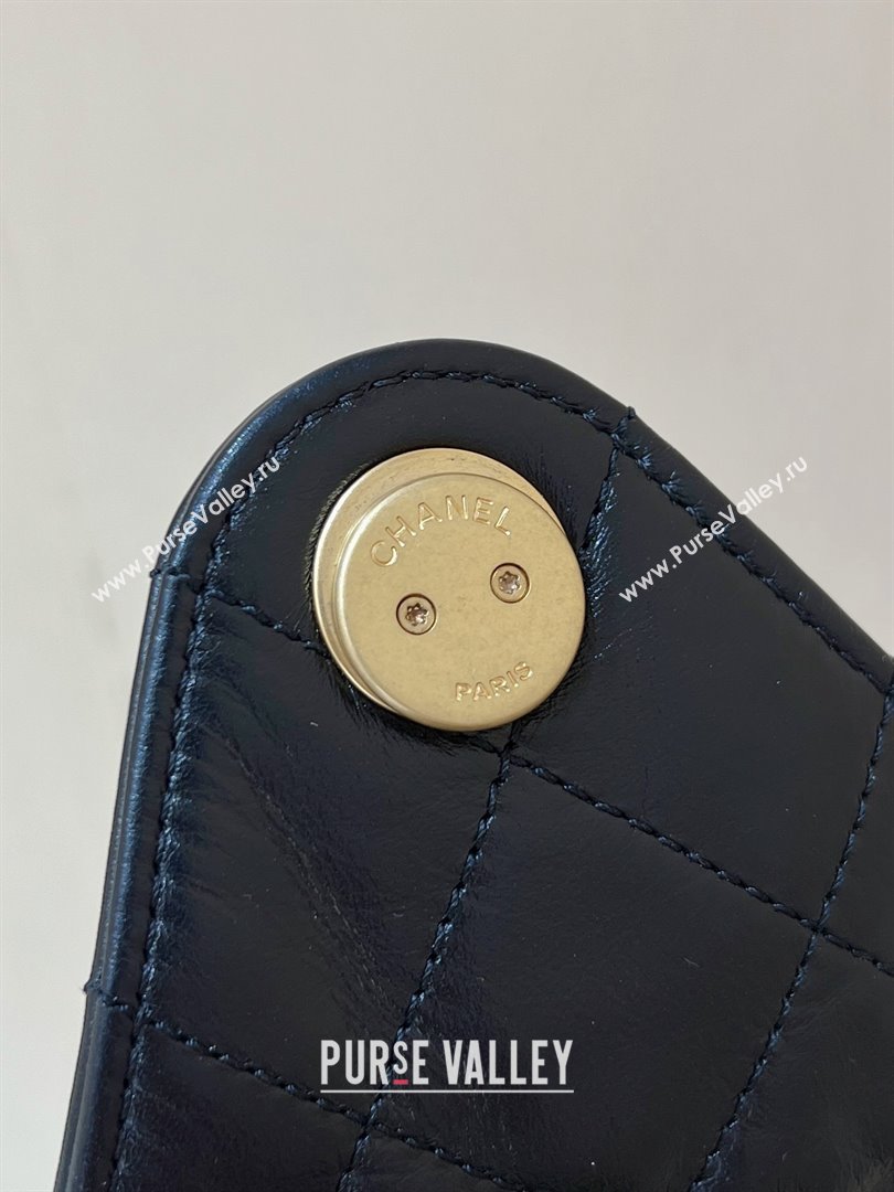 Chanel Quilted Calfskin Medium Hobo bag AS5311 2025 Top Quality (SHUNY-25072904)