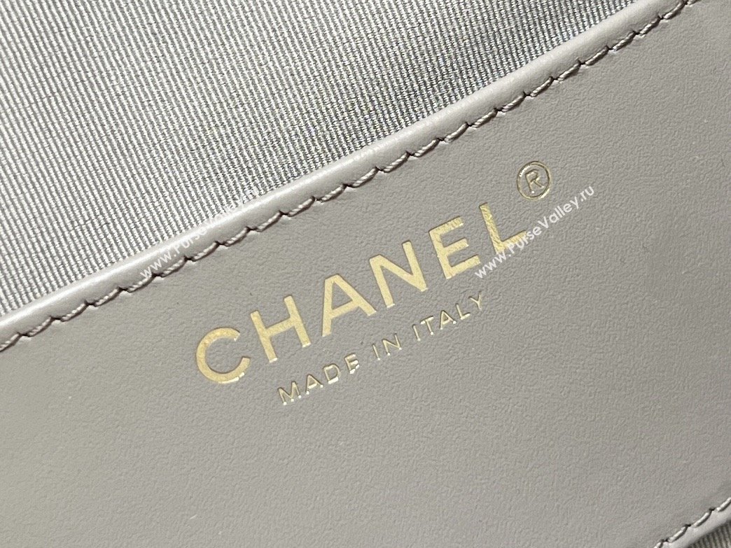 Chanel Suede Calfskin Medium Hobo Bag AS5311 Grey 2025 Top Quality (SHUNY-25072906)