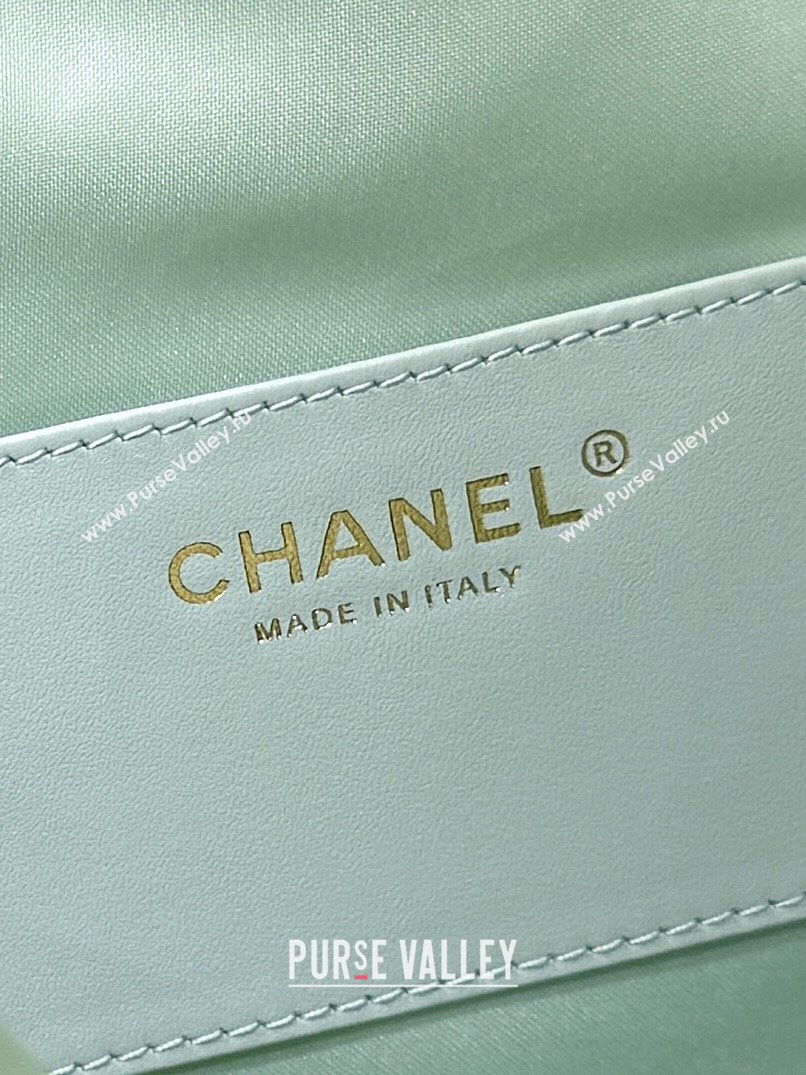 Chanel Haas Grained Calfskin Medium Hobo Bag AS5311 Light Green 2025 Top Quality (SHUNY-25072909)