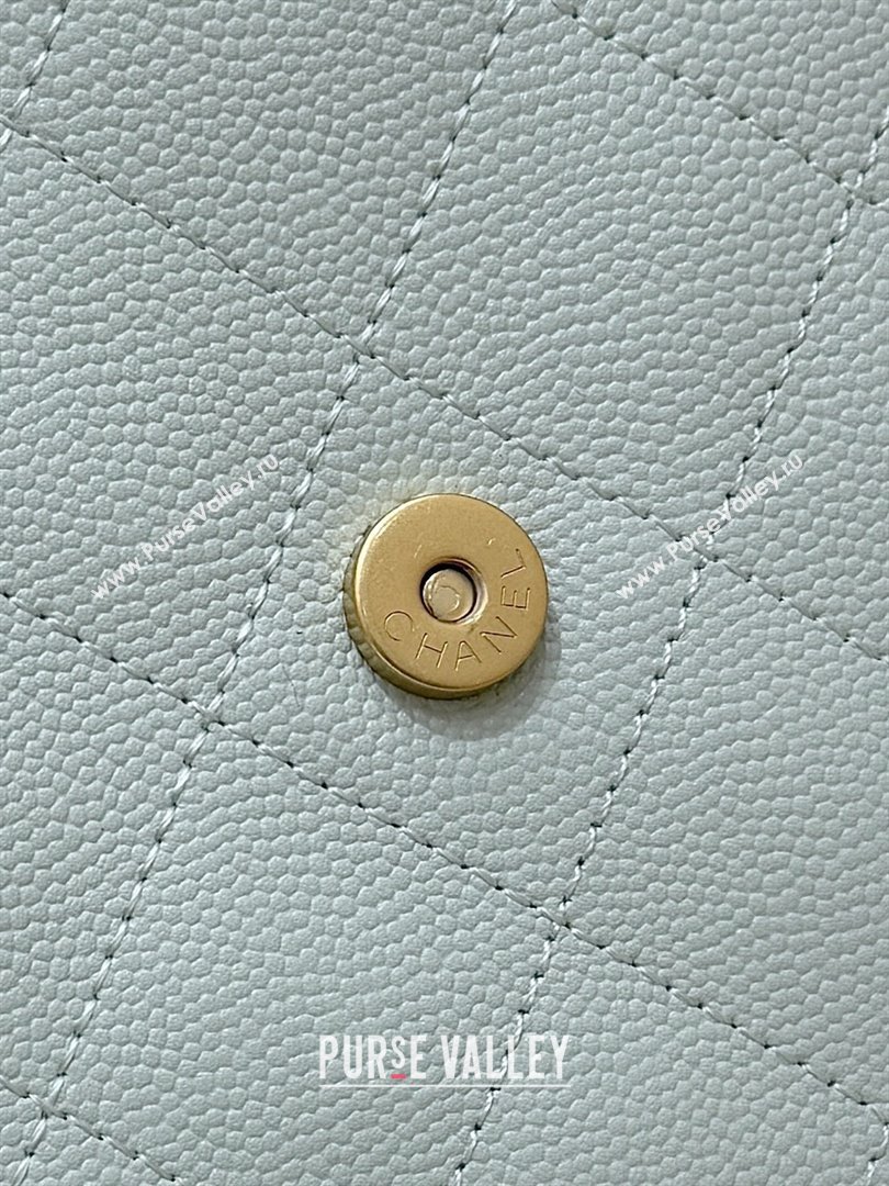 Chanel Haas Grained Calfskin Medium Hobo Bag AS5311 Light Green 2025 Top Quality (SHUNY-25072909)