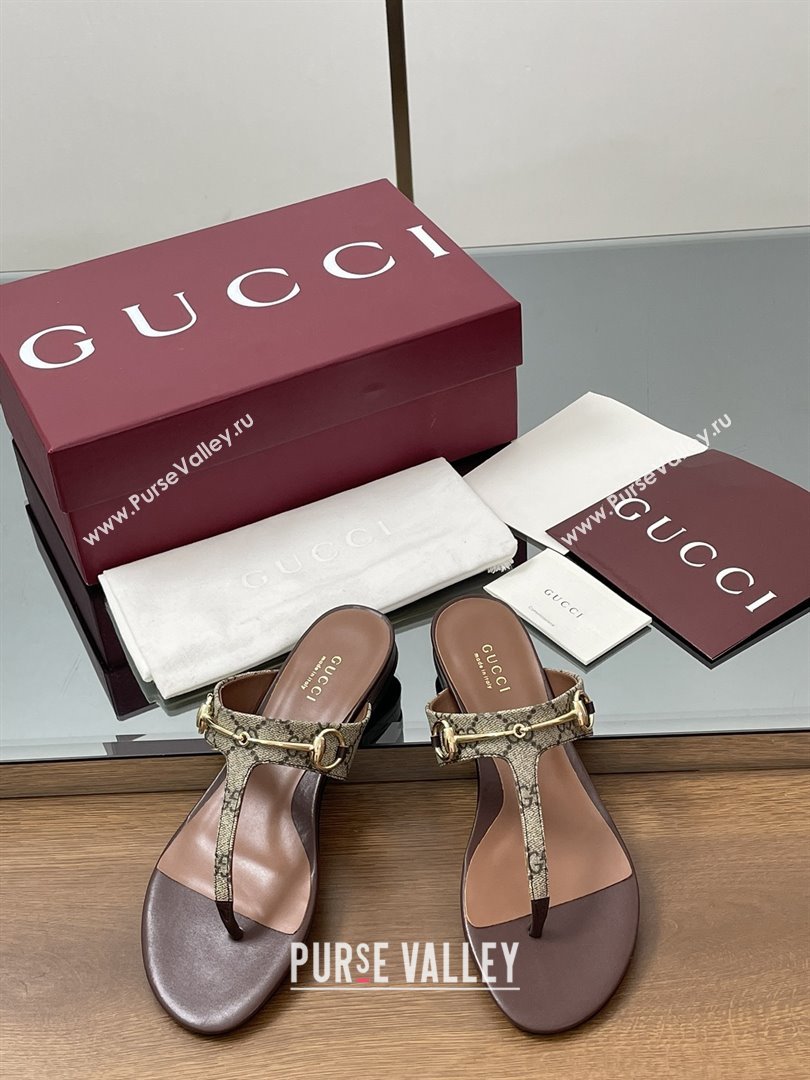Gucci Thong Sandal with Horsebit in GG Canvas Leather 816590 Dark Brown 2025 (MD-25080205)