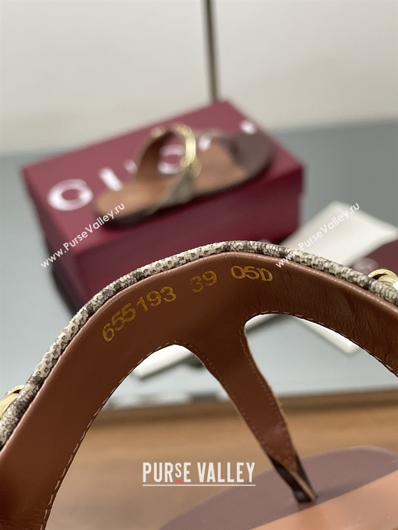 Gucci Thong Sandal with Horsebit in GG Canvas Leather 816590 Dark Brown 2025 (MD-25080205)