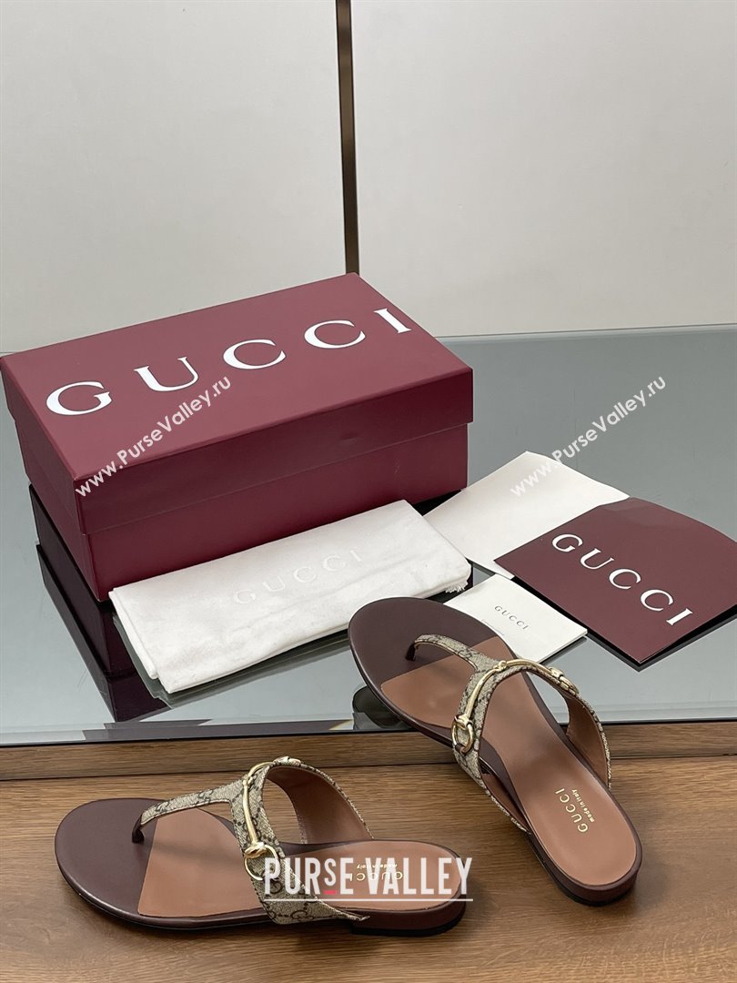 Gucci Thong Sandal with Horsebit in GG Canvas Leather 816590 Dark Brown 2025 (MD-25080205)