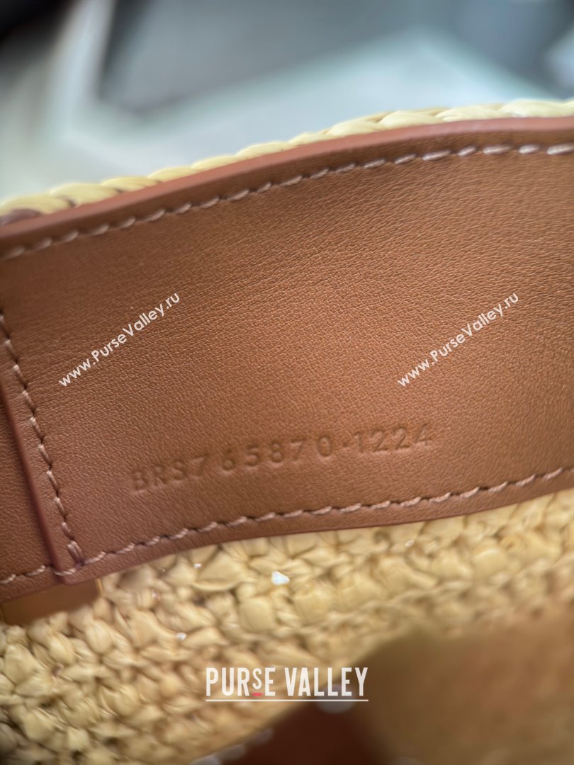 Saint Laurent LE 37 Mini Bucket Bag in Raffia 765870 Beige 2025 Top Quality (HONGS-25080613)