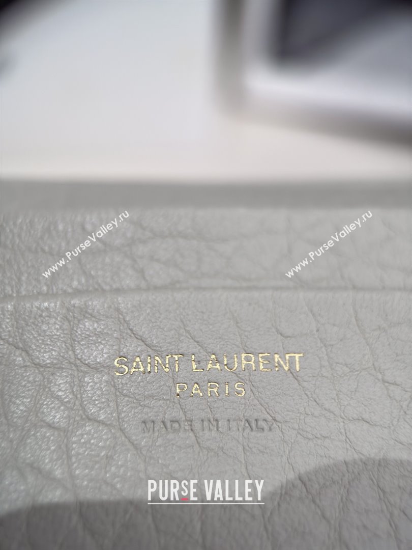 Saint Laurent Calypso Chain Mini Bag in Finely Grained Leather 801712 White 2025 Top Quality (HONGS-25080617)