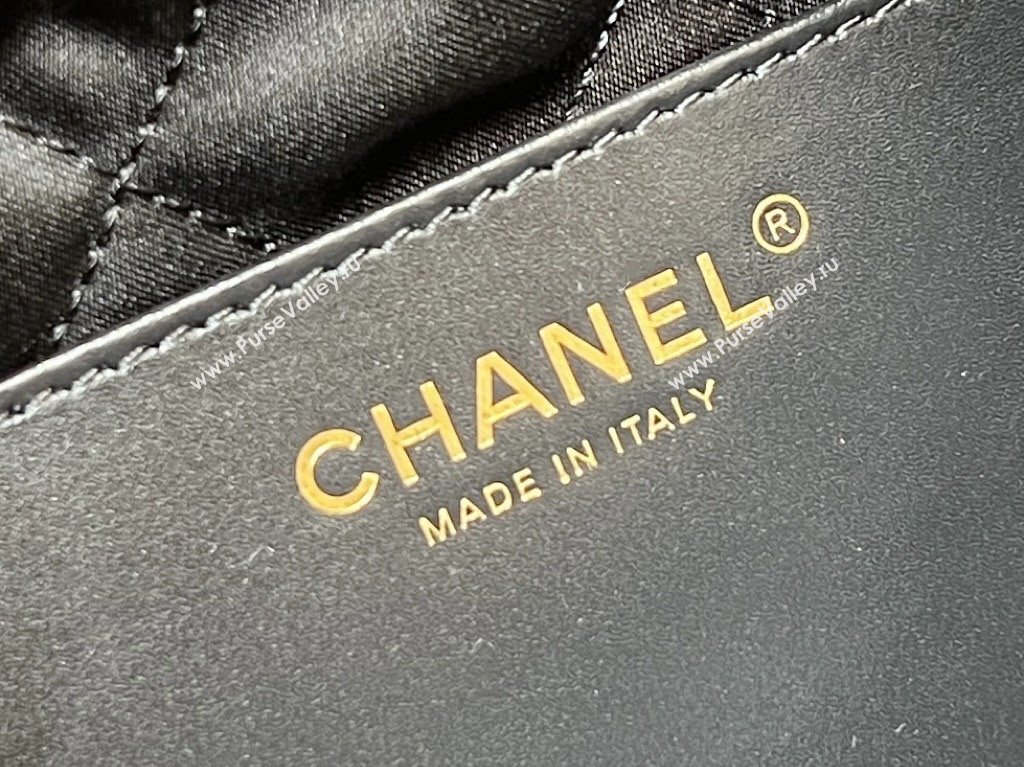 Chanel 22 Mini Bag in Haas Grainy Calfskin AS3980 Black 2025 Top Quality (SHUNY-25081801)