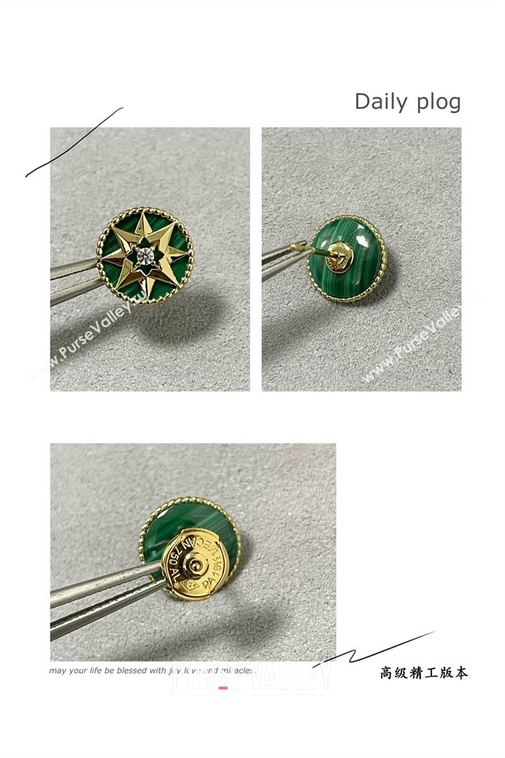 Dior Rose Des Vents Earrings D082816 2025 (MLD-25082816)