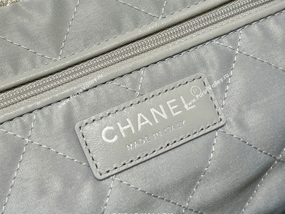 Chanel 22 Small Bag in Metallic Calfskin AS3260 Silver 2025 Top Quality (SHUNY-25091105)