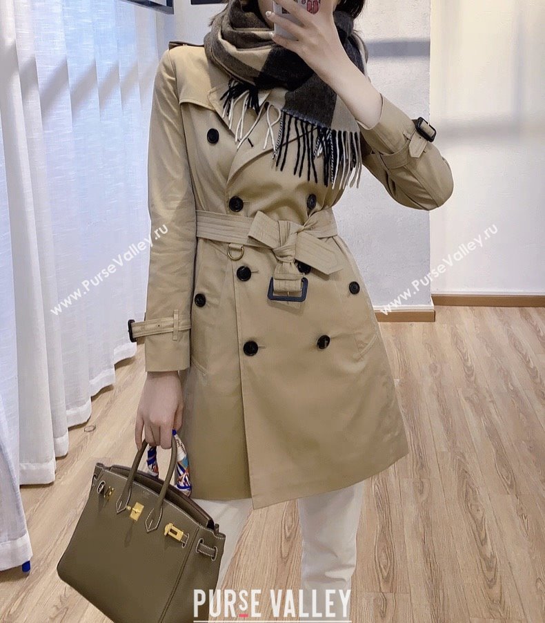 Burberry Trench Coat B91614 Khaki 2025 (Q-25091614)