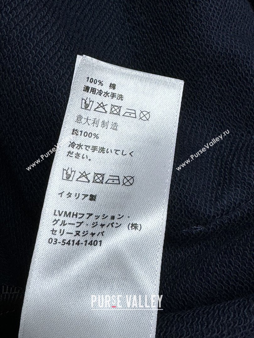 Celine Anchor 70s Hoodie in cotton Fleece Blue 2025 (Q-25091622)