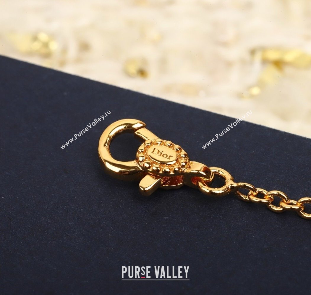 Dior Rose des Vents and Rose Celeste Necklace 2025 0915 (YF-250915100)