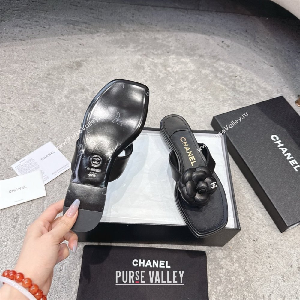 Chanel Lambskin Flat Thong Slides Sandal with Camellia Black CH92212 Black 2025 (SS-25092211)