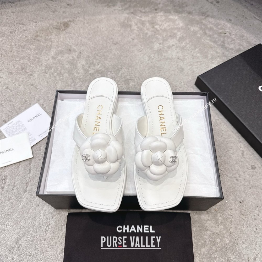 Chanel Lambskin Flat Thong Slides Sandal with Camellia Black CH92213 White 2025 (SS-25092212)