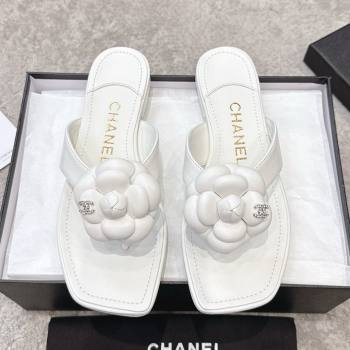 Chanel Lambskin Flat Thong Slides Sandal with Camellia Black CH92213 White 2025 (SS-25092212)
