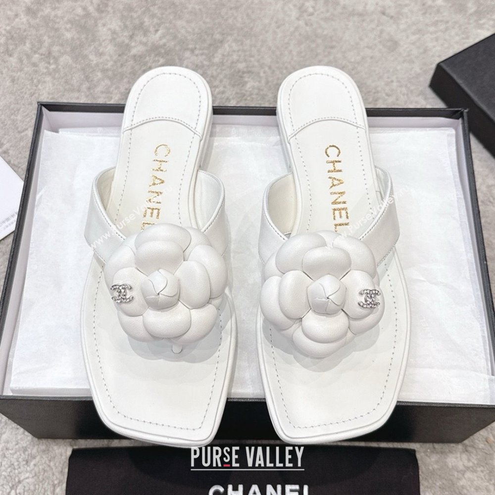 Chanel Lambskin Flat Thong Slides Sandal with Camellia Black CH92213 White 2025 (SS-25092212)