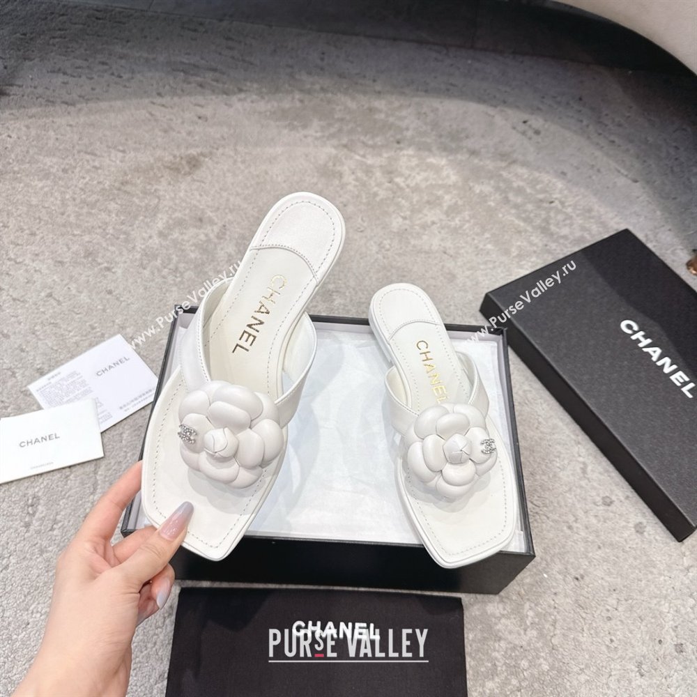 Chanel Lambskin Flat Thong Slides Sandal with Camellia Black CH92213 White 2025 (SS-25092212)
