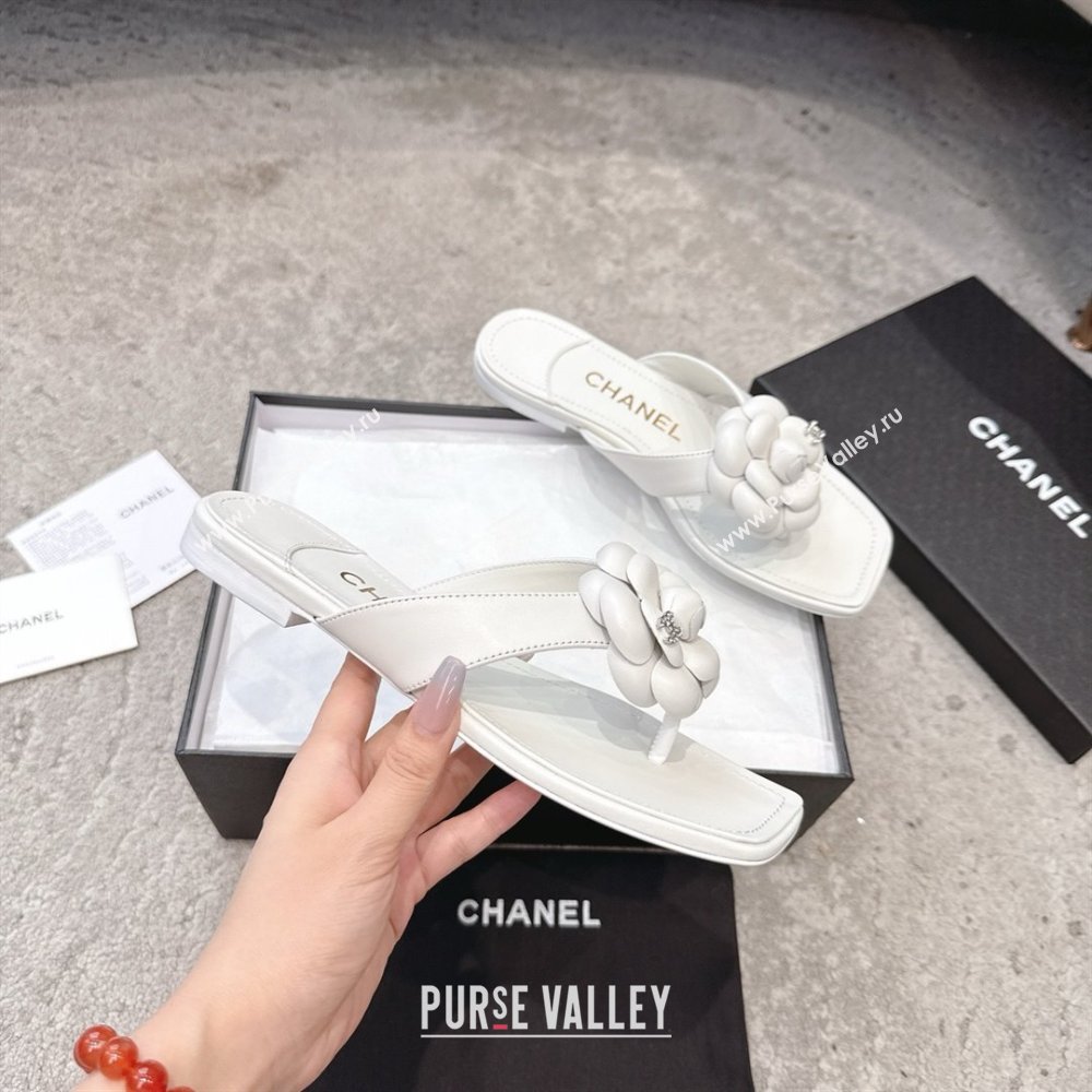 Chanel Lambskin Flat Thong Slides Sandal with Camellia Black CH92213 White 2025 (SS-25092212)