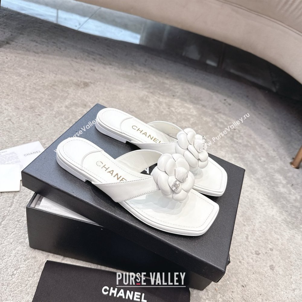 Chanel Lambskin Flat Thong Slides Sandal with Camellia Black CH92213 White 2025 (SS-25092212)