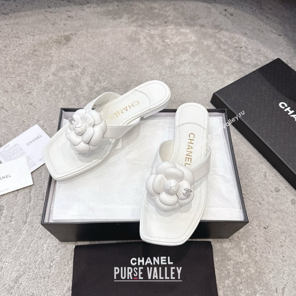 Chanel Lambskin Flat Thong Slides Sandal with Camellia Black CH92213 White 2025 (SS-25092212)