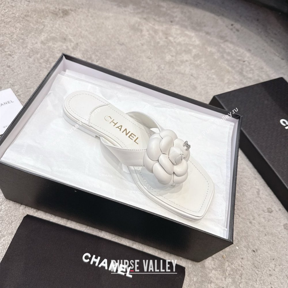 Chanel Lambskin Flat Thong Slides Sandal with Camellia Black CH92213 White 2025 (SS-25092212)