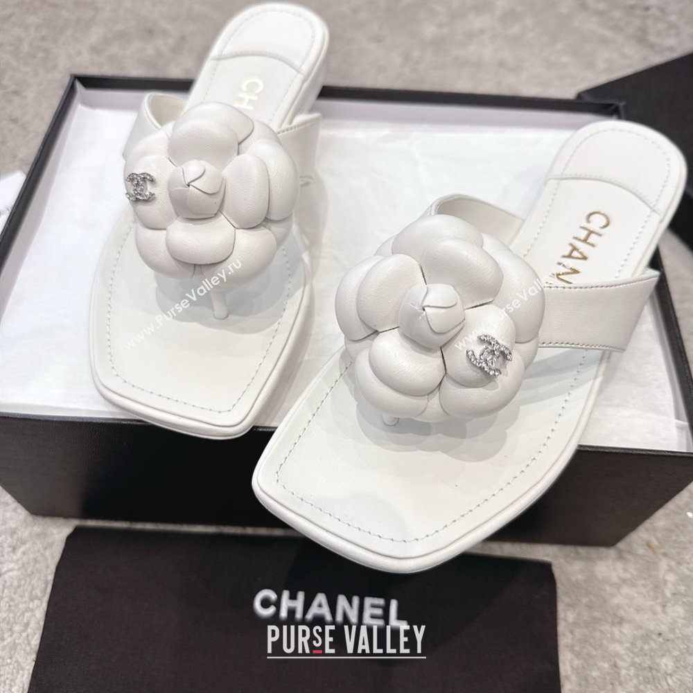 Chanel Lambskin Flat Thong Slides Sandal with Camellia Black CH92213 White 2025 (SS-25092212)