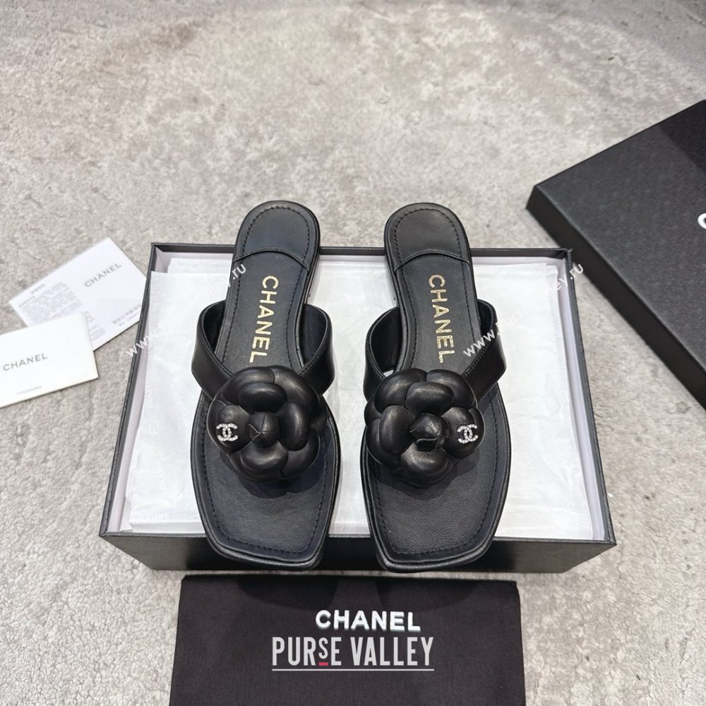 Chanel Lambskin Flat Thong Slides Sandal with Camellia Black CH92212 Black 2025 (SS-25092211)