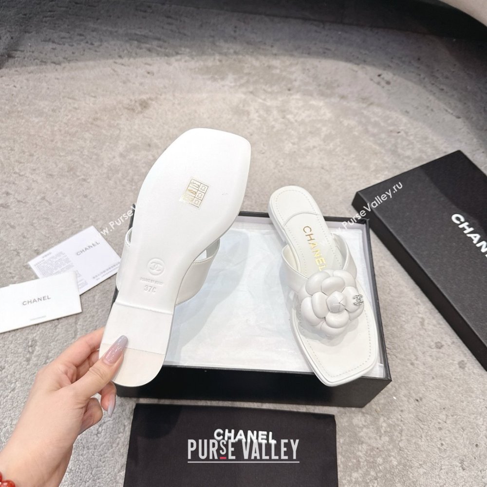 Chanel Lambskin Flat Thong Slides Sandal with Camellia Black CH92213 White 2025 (SS-25092212)