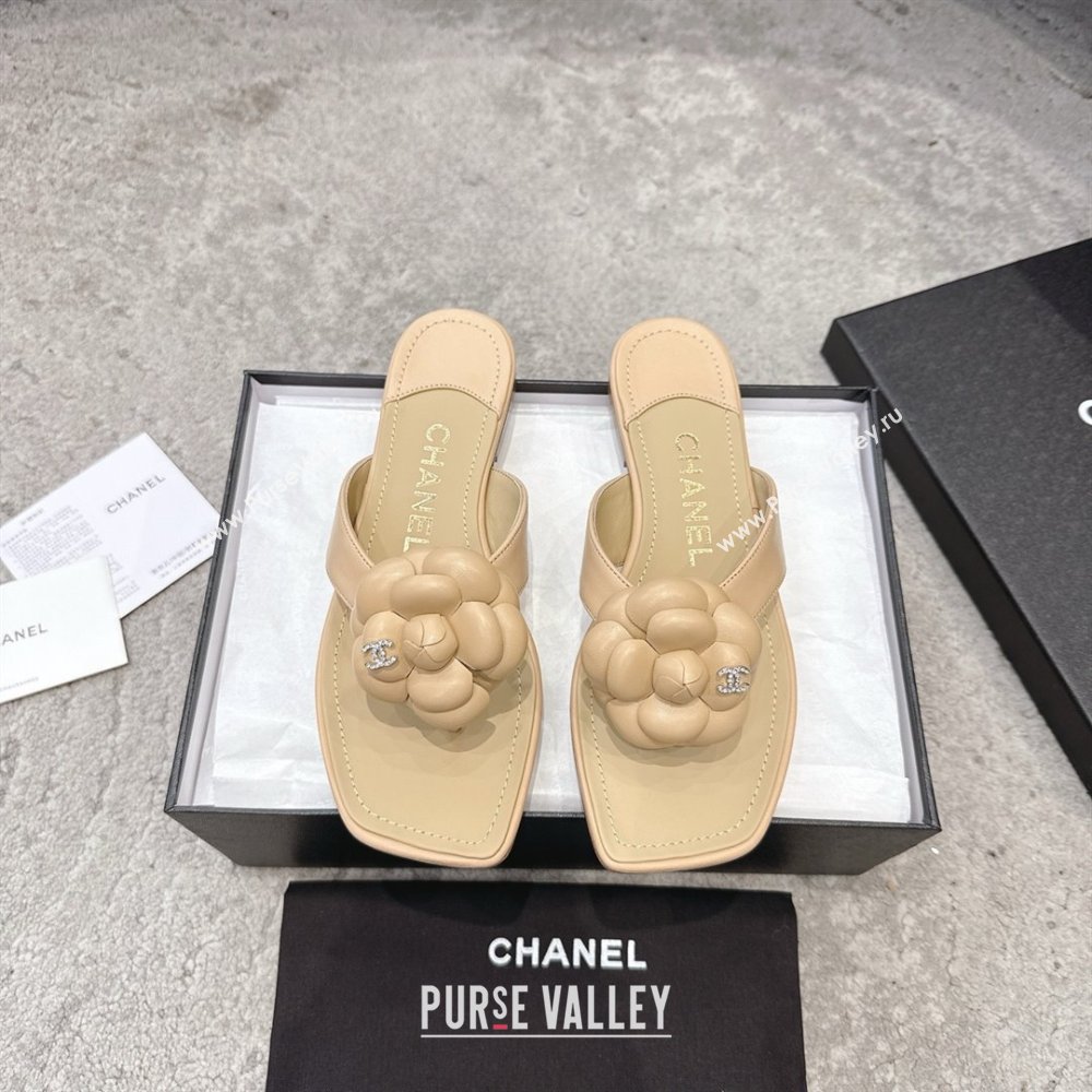 Chanel Lambskin Flat Thong Slides Sandal with Camellia Black CH92214 Beige 2025 (SS-25092214)