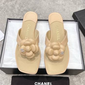 Chanel Lambskin Flat Thong Slides Sandal with Camellia Black CH92214 Beige 2025 (SS-25092214)