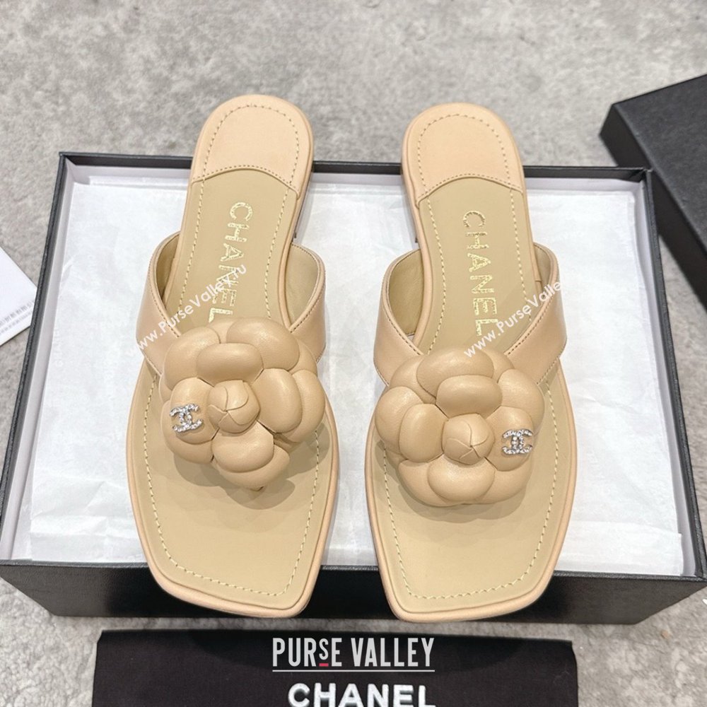 Chanel Lambskin Flat Thong Slides Sandal with Camellia Black CH92214 Beige 2025 (SS-25092214)