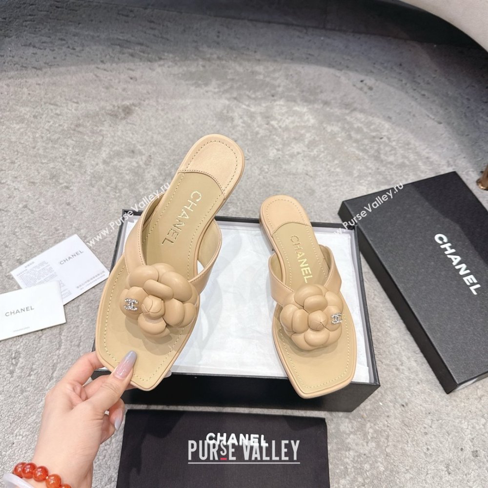 Chanel Lambskin Flat Thong Slides Sandal with Camellia Black CH92214 Beige 2025 (SS-25092214)
