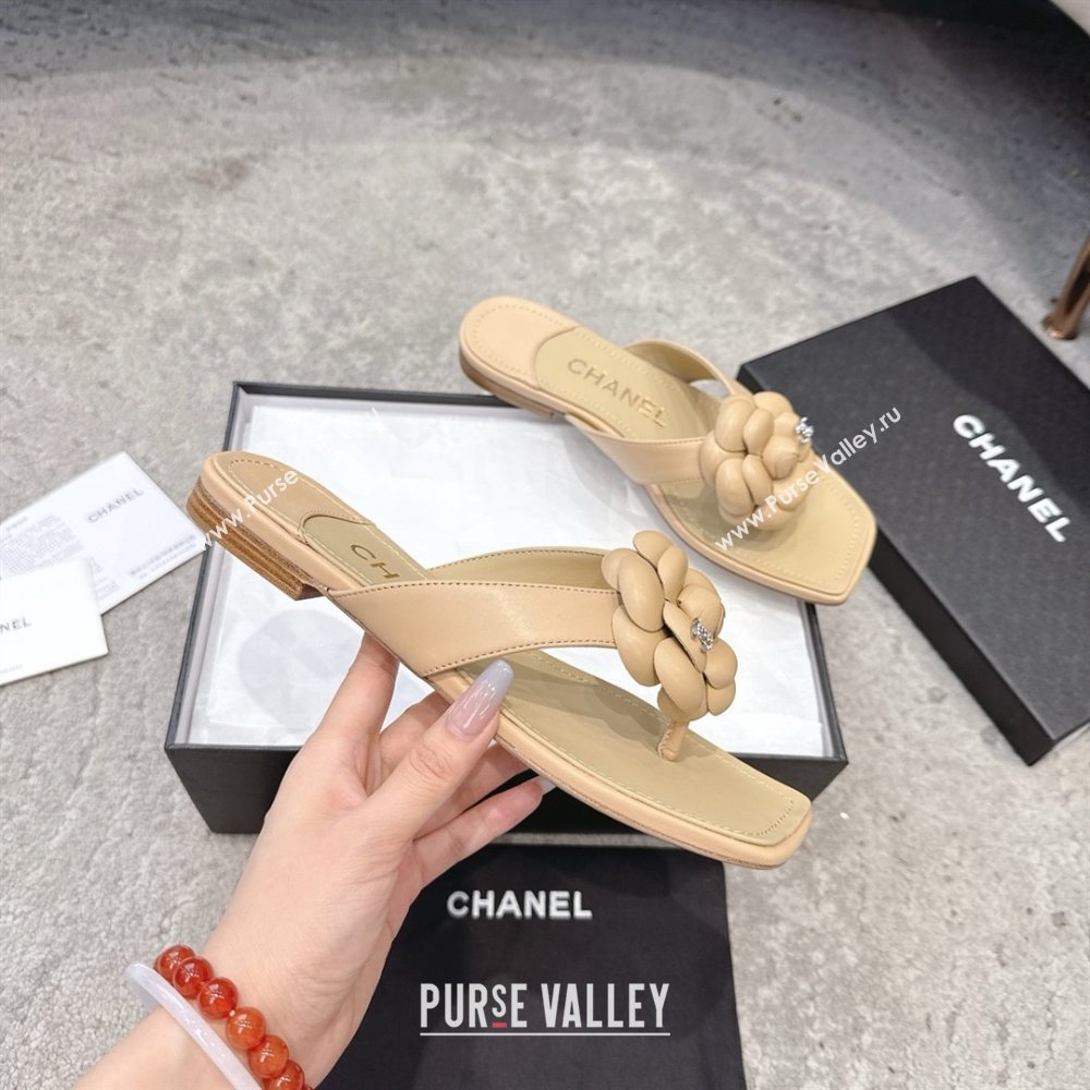 Chanel Lambskin Flat Thong Slides Sandal with Camellia Black CH92214 Beige 2025 (SS-25092214)