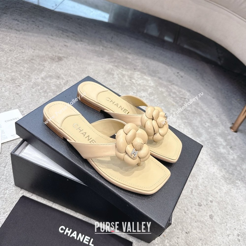 Chanel Lambskin Flat Thong Slides Sandal with Camellia Black CH92214 Beige 2025 (SS-25092214)