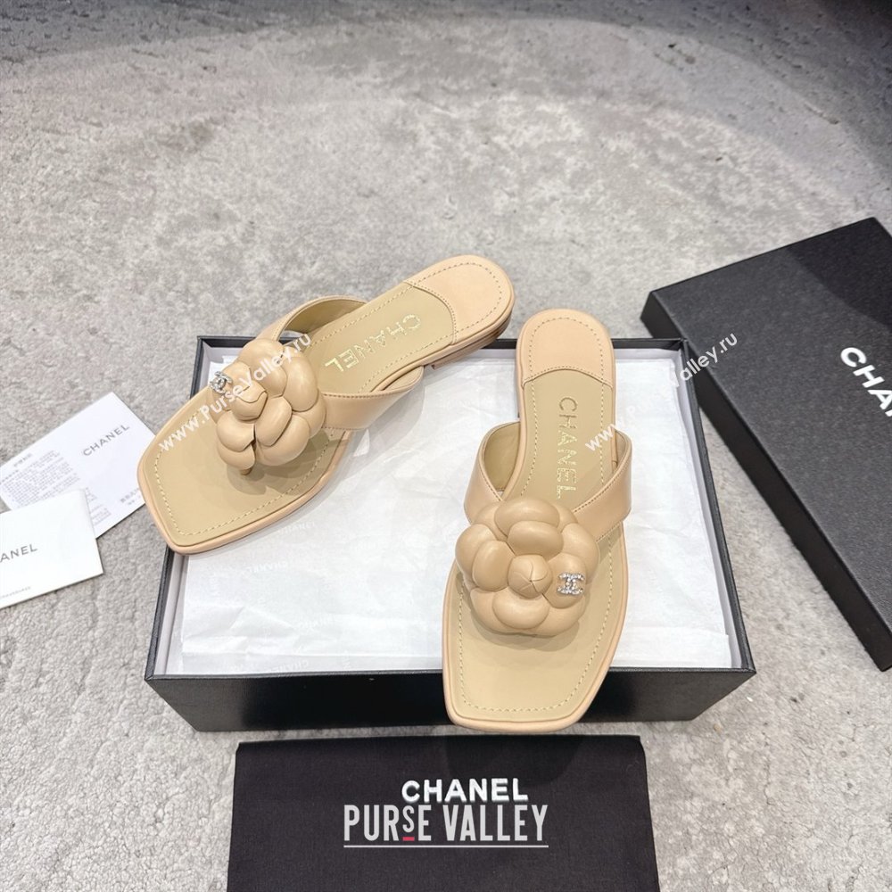 Chanel Lambskin Flat Thong Slides Sandal with Camellia Black CH92214 Beige 2025 (SS-25092214)