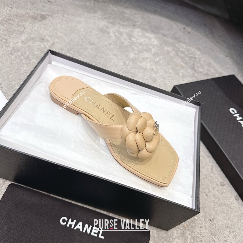 Chanel Lambskin Flat Thong Slides Sandal with Camellia Black CH92214 Beige 2025 (SS-25092214)