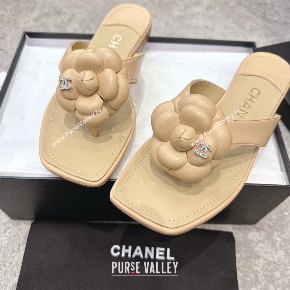 Chanel Lambskin Flat Thong Slides Sandal with Camellia Black CH92214 Beige 2025 (SS-25092214)