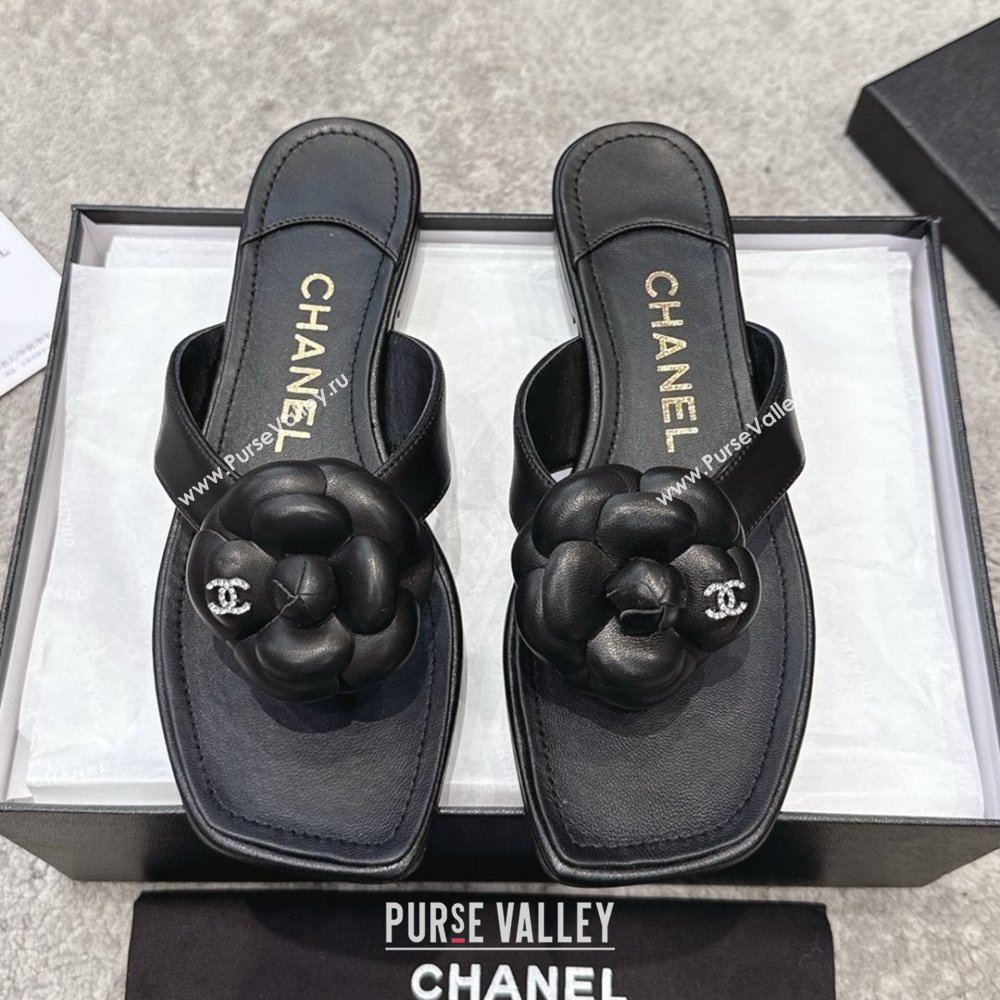 Chanel Lambskin Flat Thong Slides Sandal with Camellia Black CH92212 Black 2025 (SS-25092211)