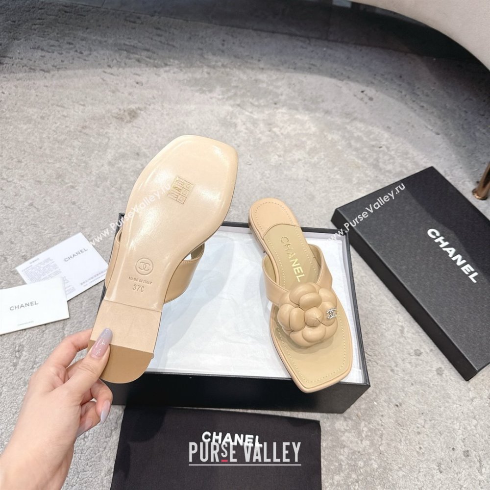 Chanel Lambskin Flat Thong Slides Sandal with Camellia Black CH92214 Beige 2025 (SS-25092214)