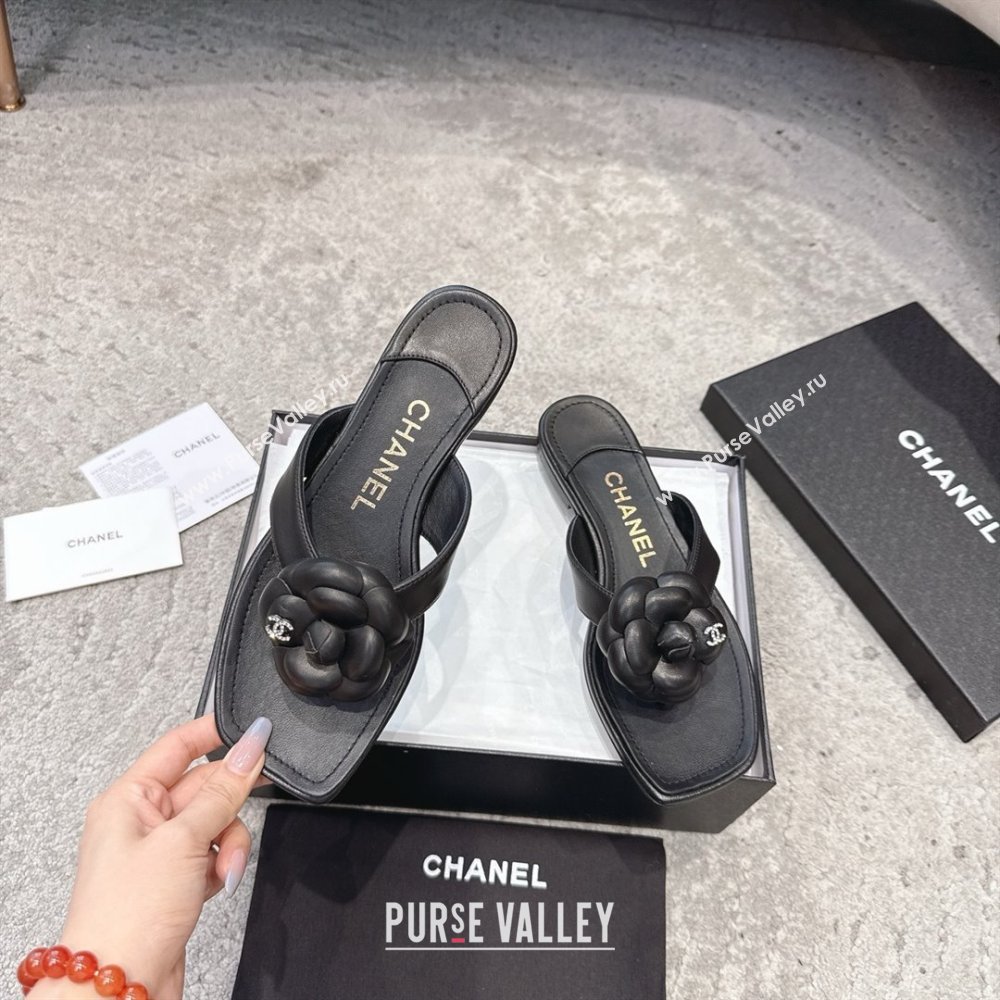 Chanel Lambskin Flat Thong Slides Sandal with Camellia Black CH92212 Black 2025 (SS-25092211)