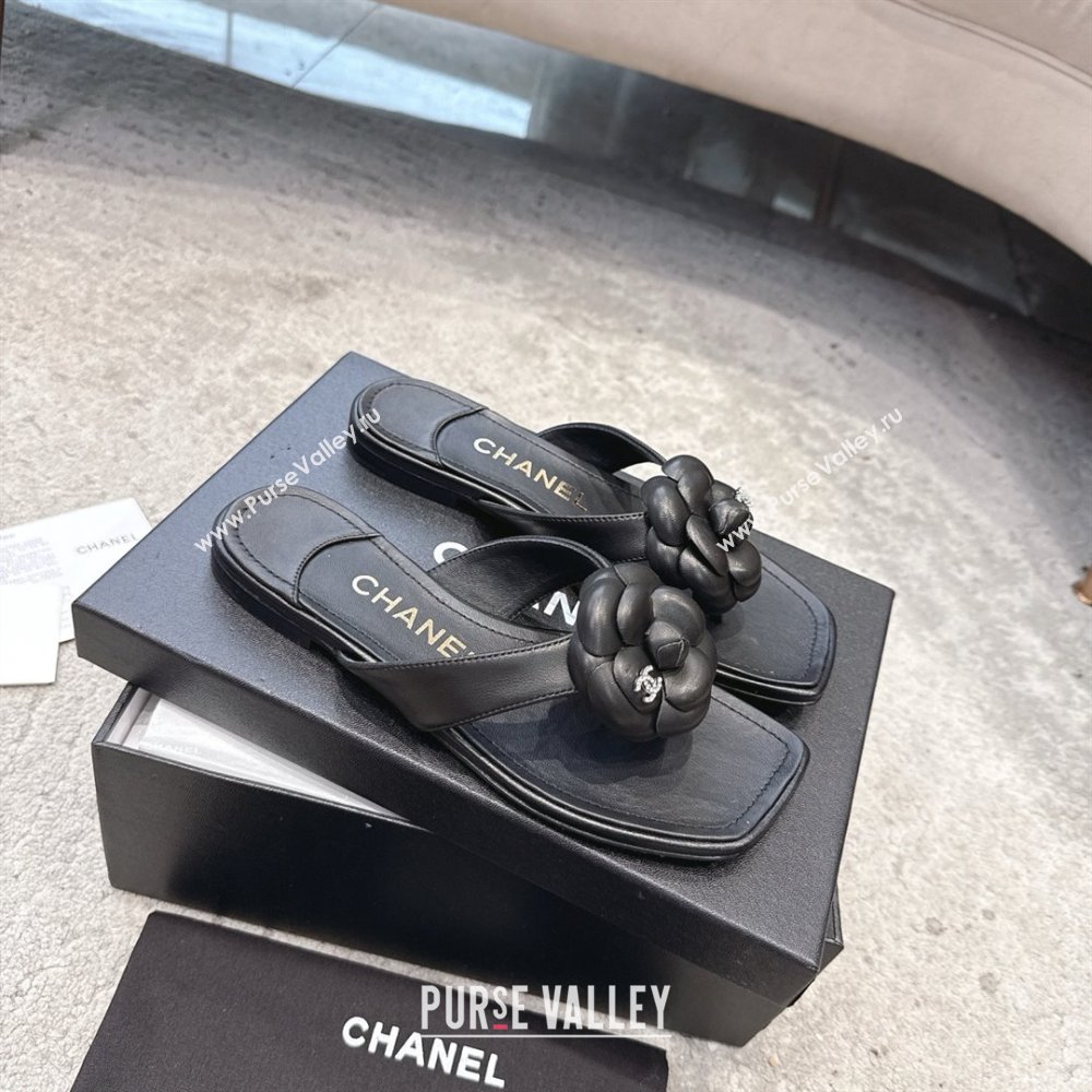 Chanel Lambskin Flat Thong Slides Sandal with Camellia Black CH92212 Black 2025 (SS-25092211)