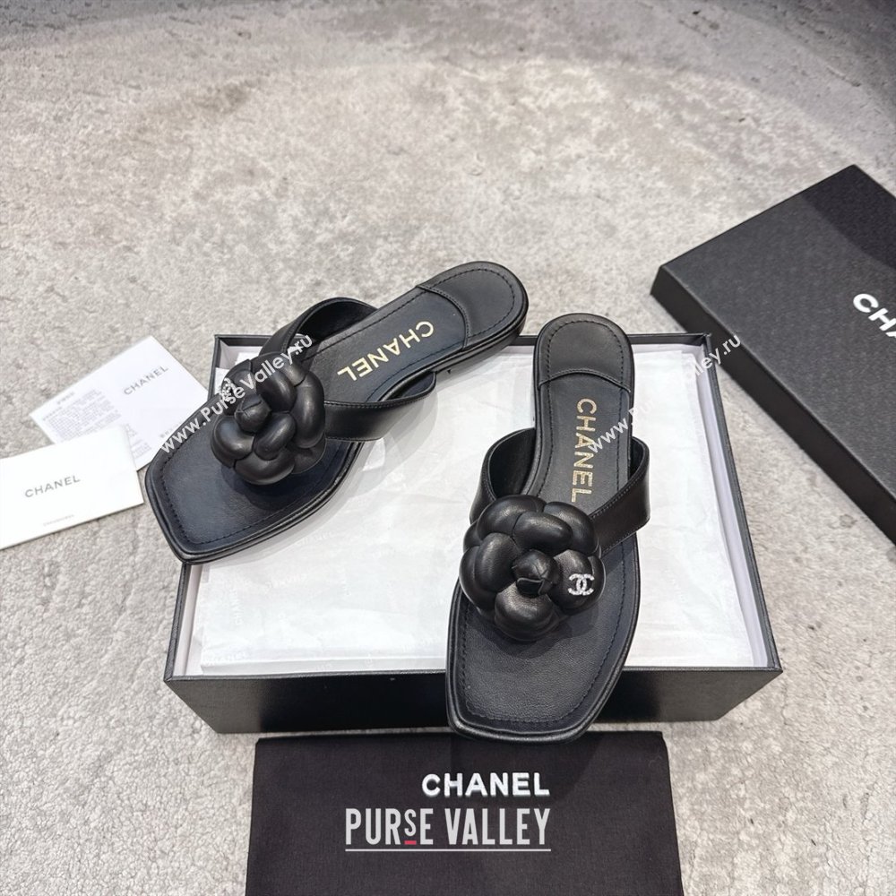 Chanel Lambskin Flat Thong Slides Sandal with Camellia Black CH92212 Black 2025 (SS-25092211)