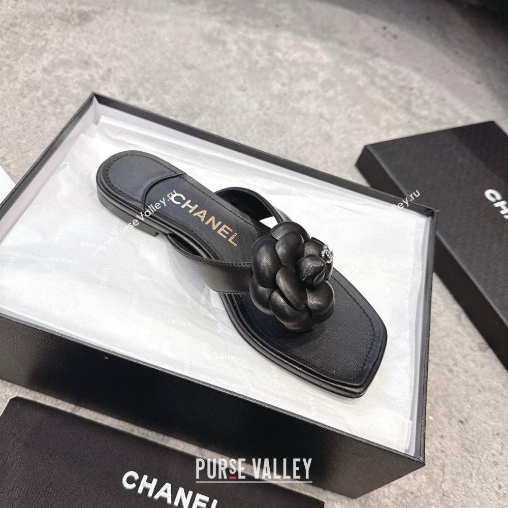 Chanel Lambskin Flat Thong Slides Sandal with Camellia Black CH92212 Black 2025 (SS-25092211)