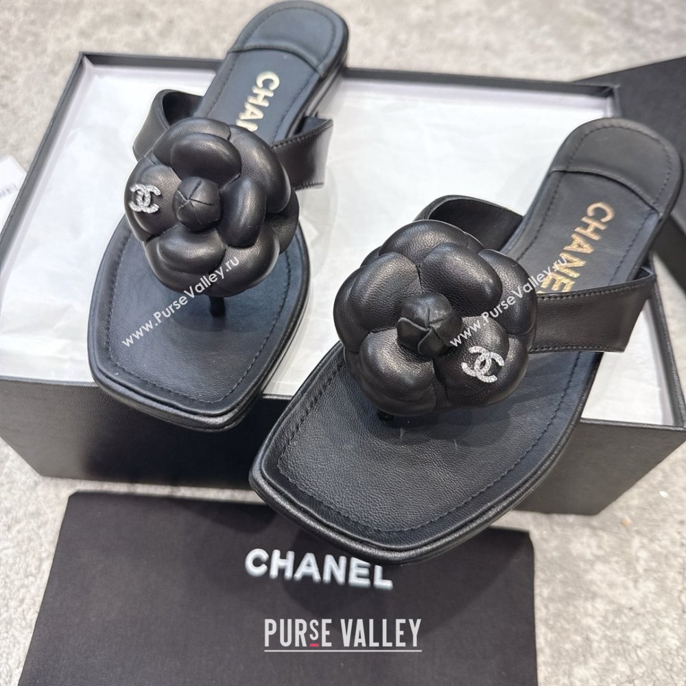 Chanel Lambskin Flat Thong Slides Sandal with Camellia Black CH92212 Black 2025 (SS-25092211)