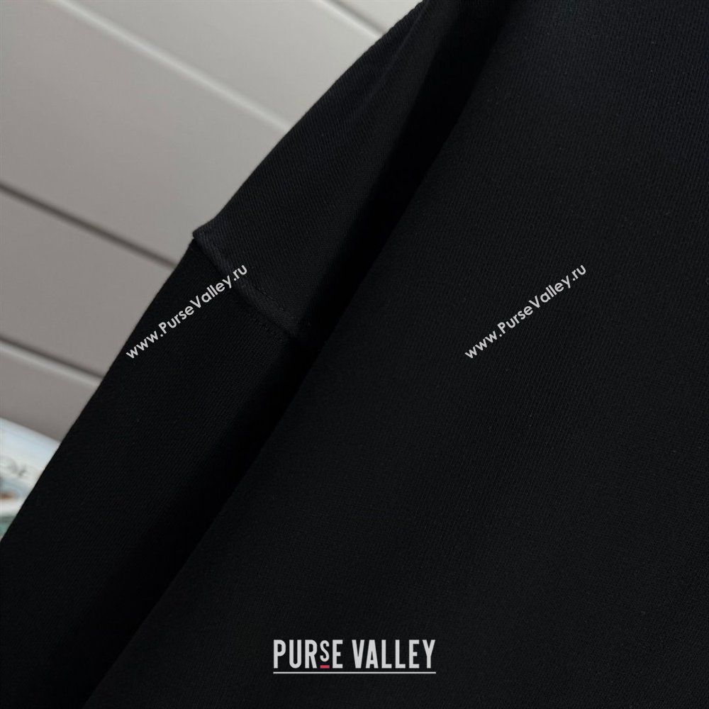 Prada Sweatshirt P101402 Black 2025 (FF-25101402)