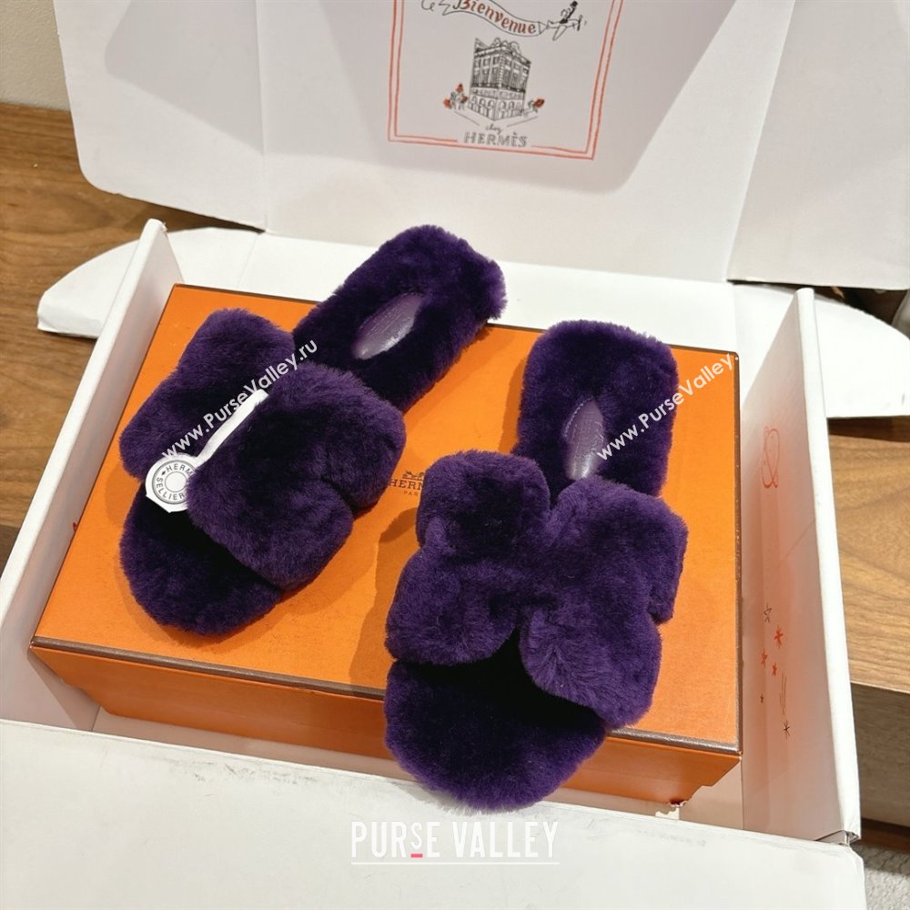 Hermes Oran Sandals in Shearling Wool H101614 Purple 2025 (XC-25101614)