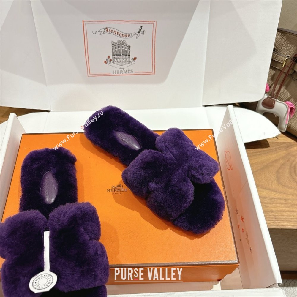 Hermes Oran Sandals in Shearling Wool H101614 Purple 2025 (XC-25101614)