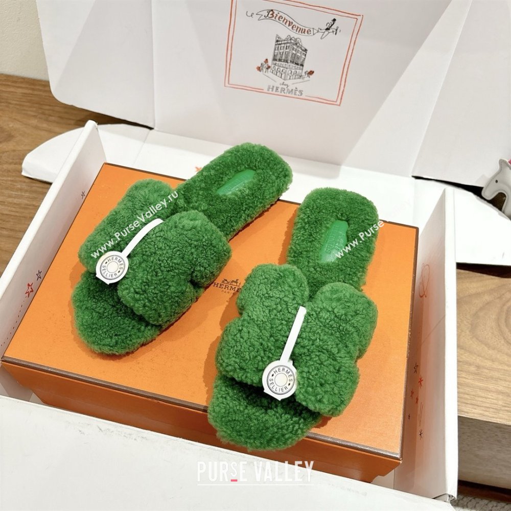 Hermes Oran Sandals in Shearling Wool H101603 Green 2025 (XC-25101603)